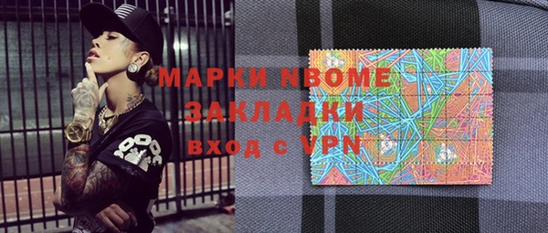 мдпв Пестово