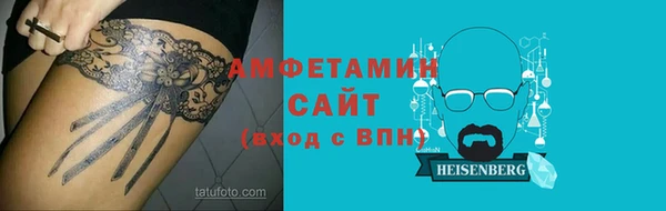 индика Елизово