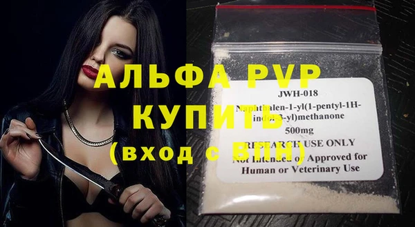 a pvp Магас