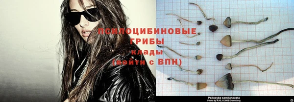 a pvp Магас