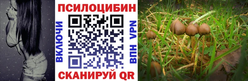 Галлюциногенные грибы Psilocybe  blacksprut ТОР  Пугачёв 